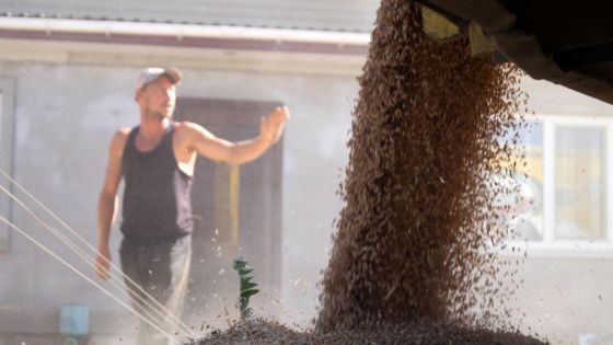 Правительство утвердило новую тарифную квоту на экспорт зерновых культур в 2023 году